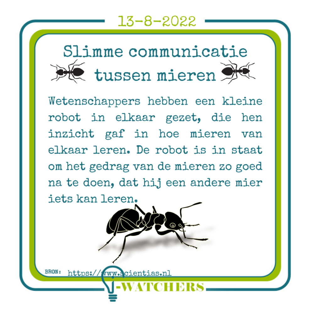 Slimme communicatie tussen mieren