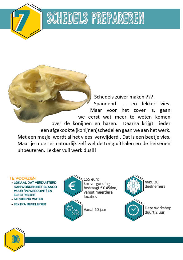Workshopbrochure 2022 schedels
