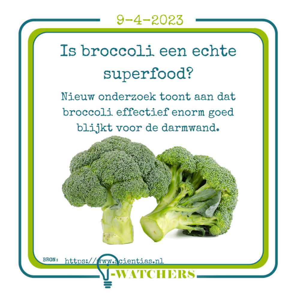 Is broccoli een echte superfood?